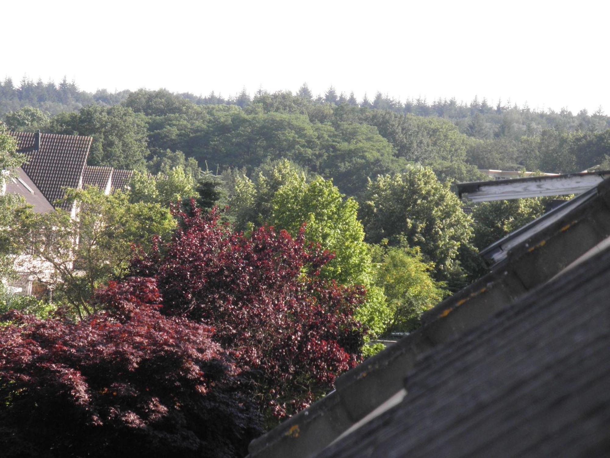 Teska Bed & Breakfast Veenendaal Zewnętrze zdjęcie